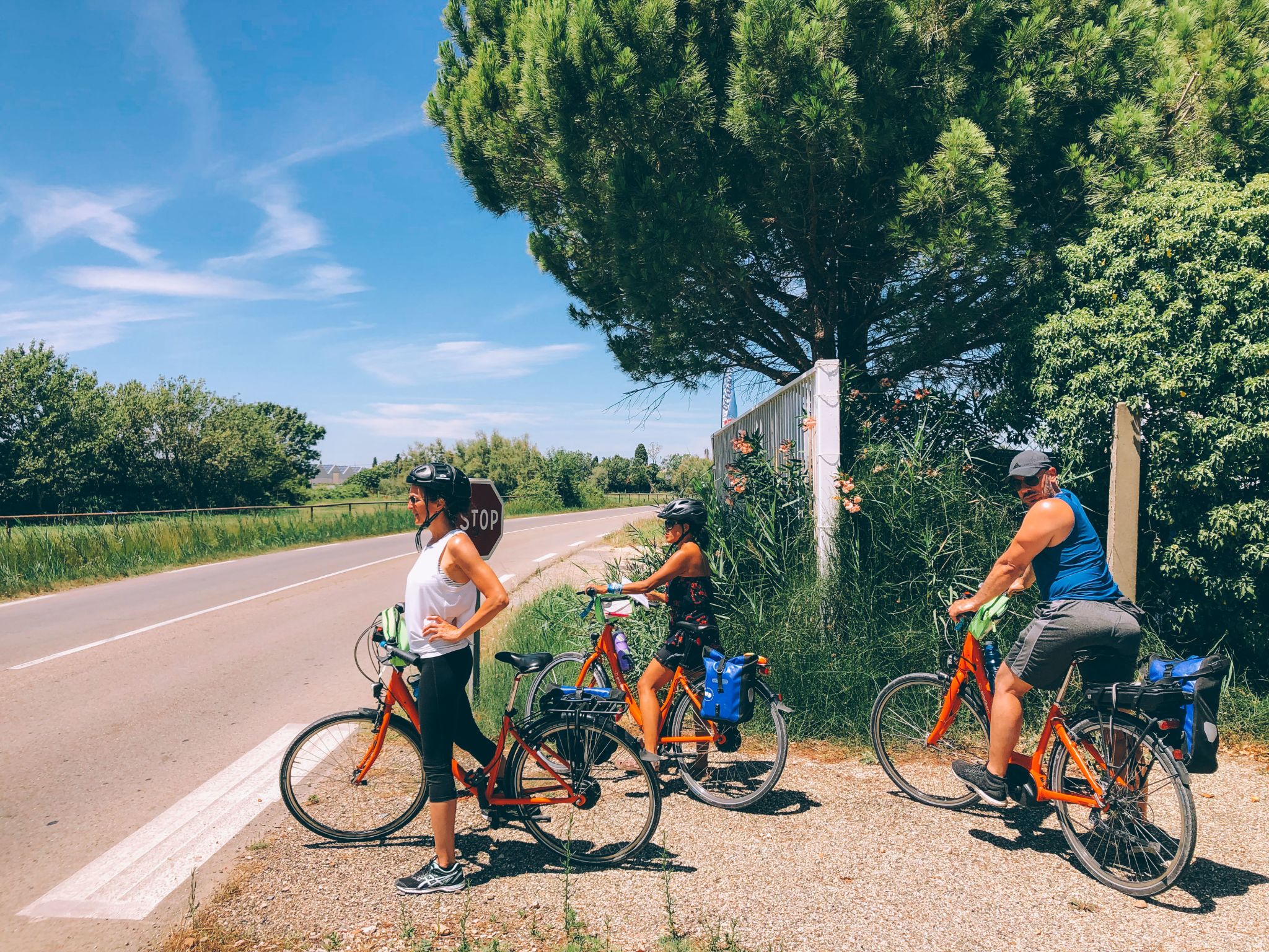 From Avignon to Aigues Mortes